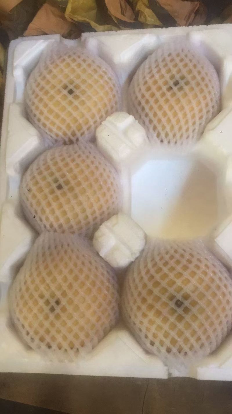 正宗莱阳产地秋月梨产地直发脆甜多汁一件代发