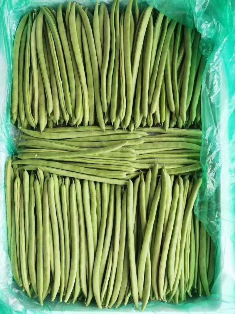 【精品】山西豆角小金豆形条好一手货源全国发货