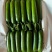 小黄瓜