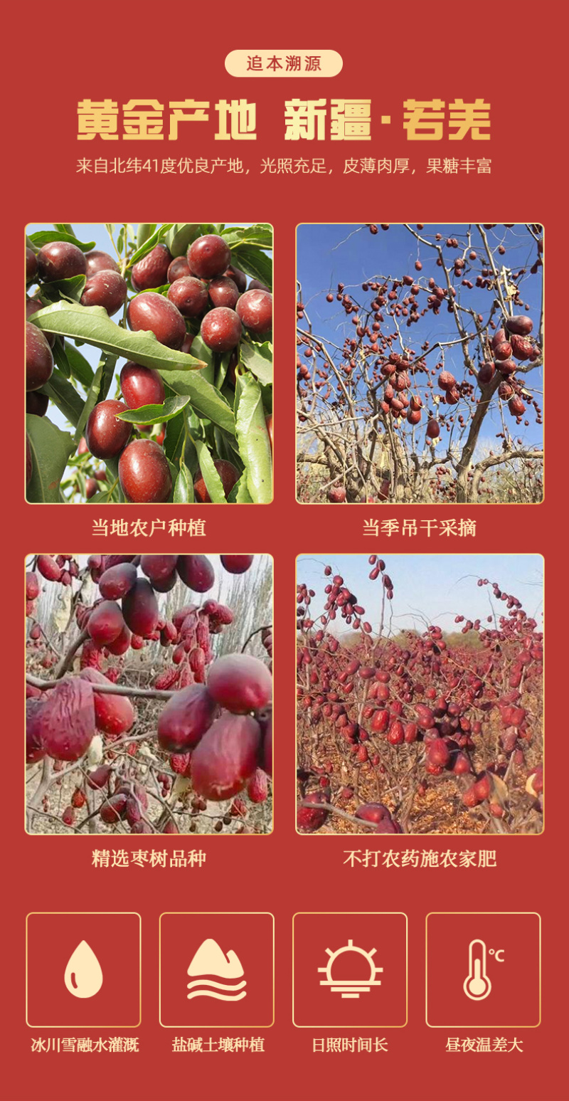 新疆灰枣