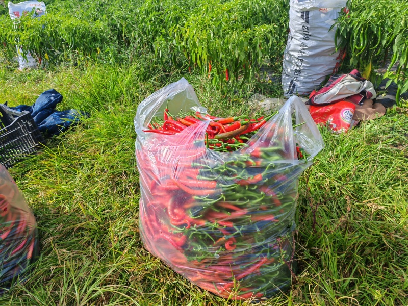 大量工厂货，等你来接单