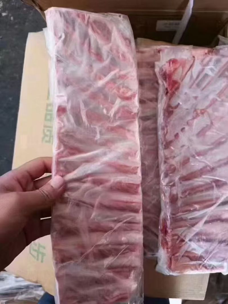 生羊标排，