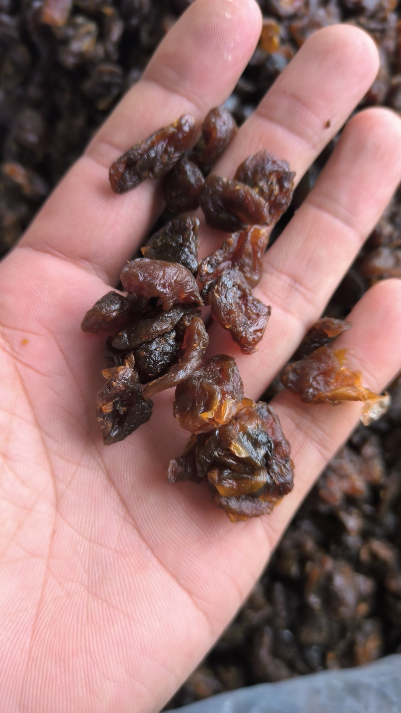 桂圆肉龙眼肉质量保证量大从优欢迎咨询选购