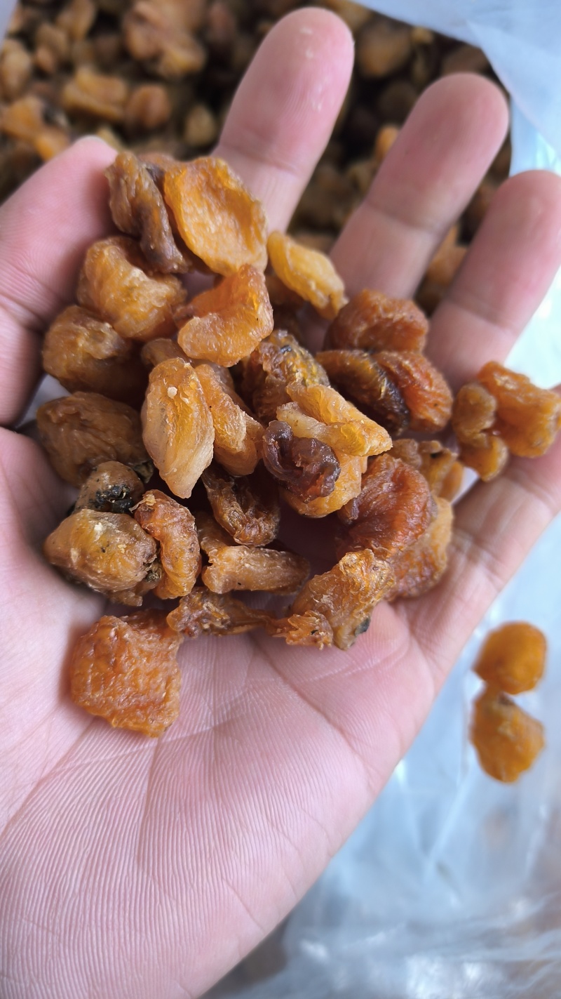 桂圆肉龙眼肉质量保证量大从优欢迎咨询选购