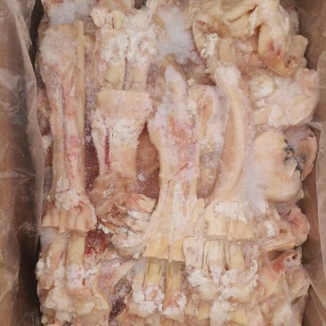 牛主筋