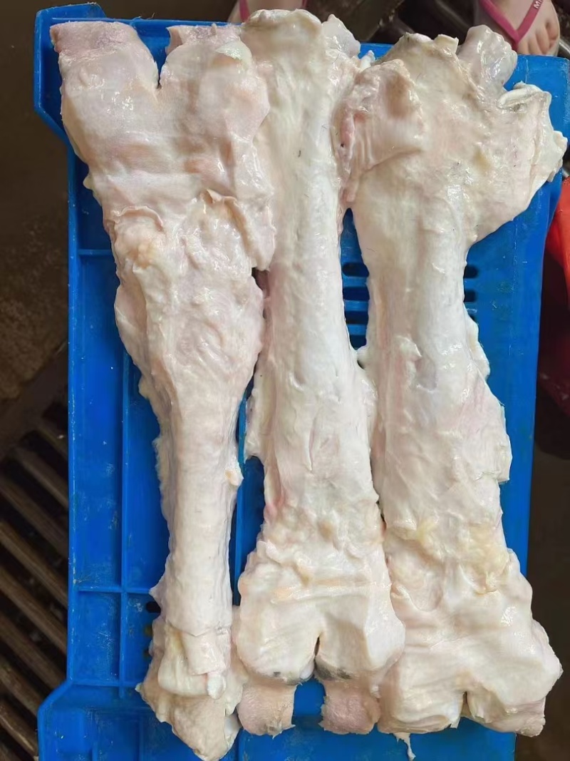牛主筋