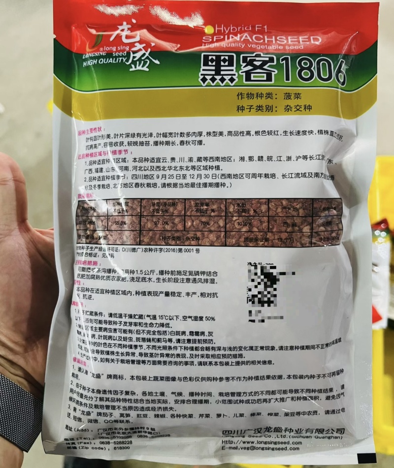 龙盛黑客1806杂交菠菜种子深绿油亮大叶菠菜种籽耐寒春秋