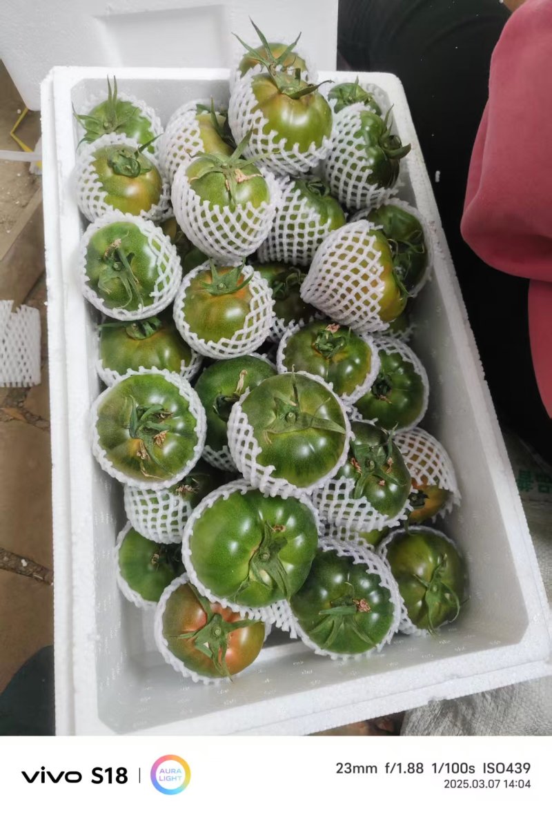 铁皮西红柿量大从优电商商超一件代发需要的老板电话联系