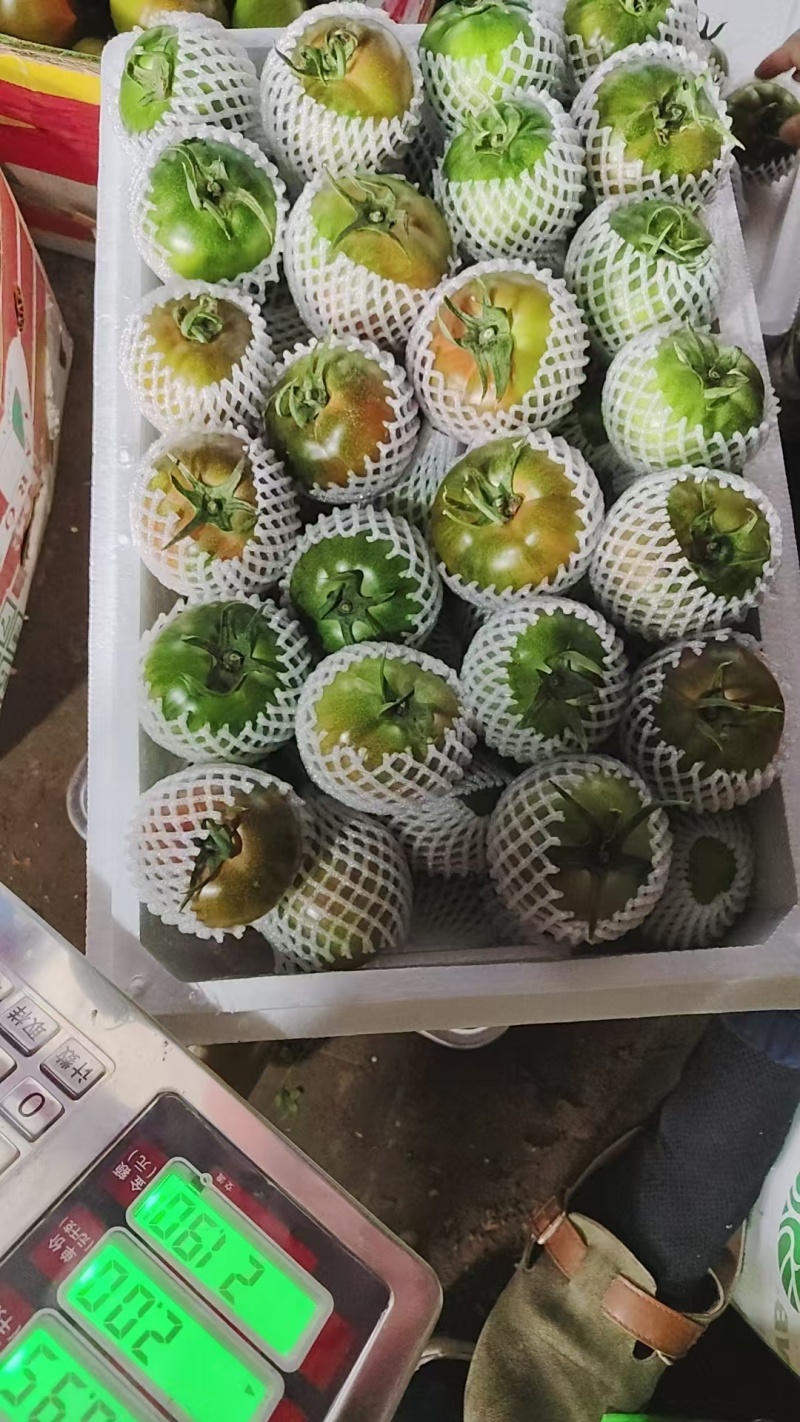 铁皮西红柿量大从优电商商超一件代发需要的老板电话联系
