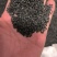 韭菜籽正品无硫质量保证泡茶泡酒量大从优…