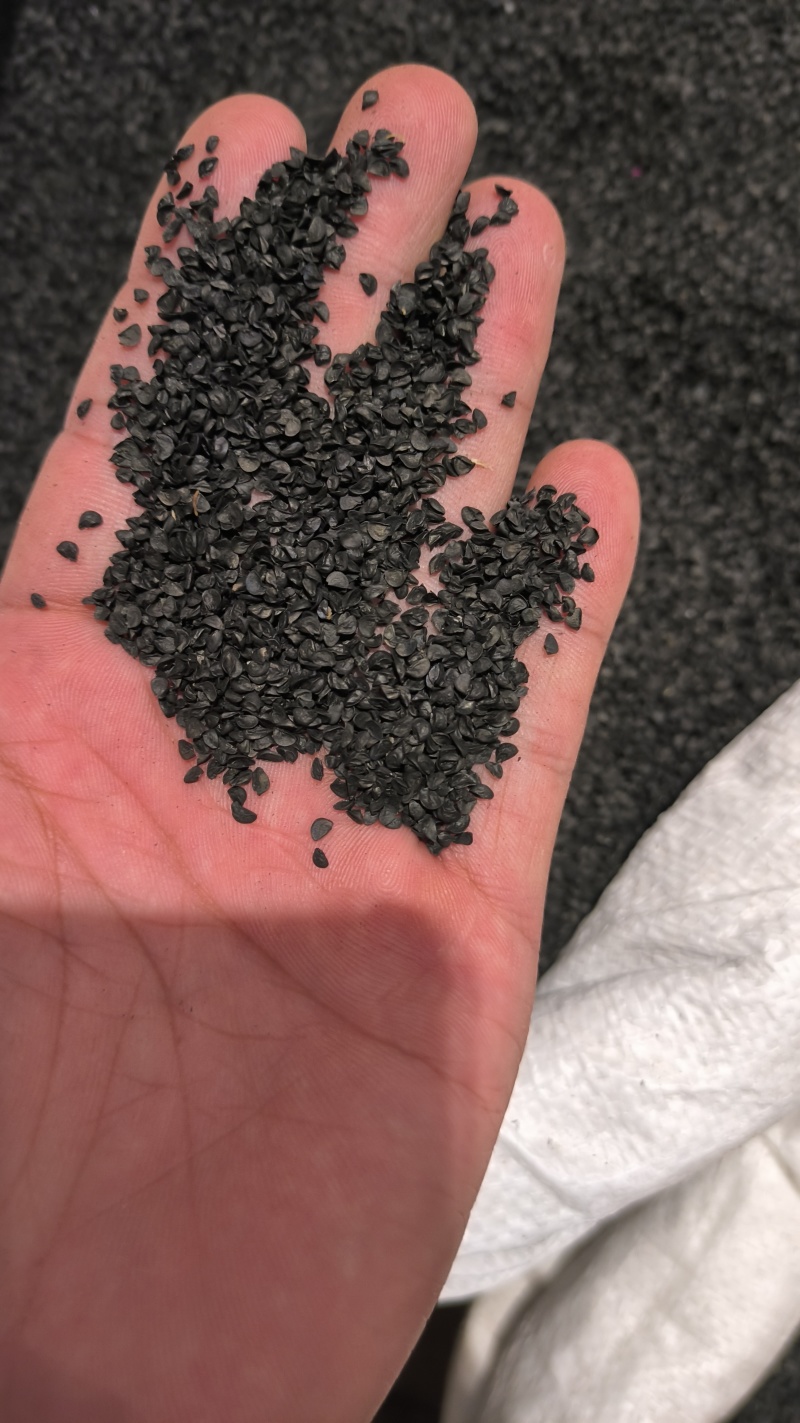韭菜籽正品无硫质量保证泡茶泡酒量大从优…