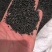 韭菜籽正品无硫质量保证泡茶泡酒量大从优…