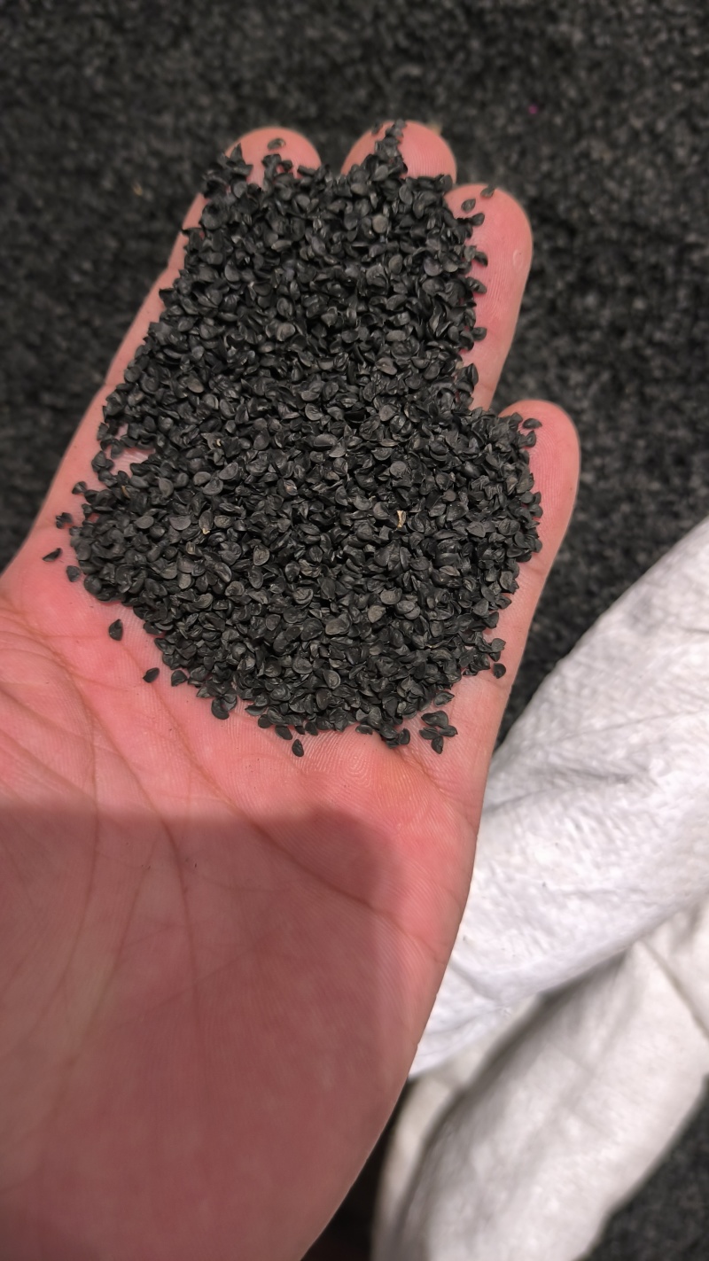 韭菜籽正品无硫质量保证泡茶泡酒量大从优…