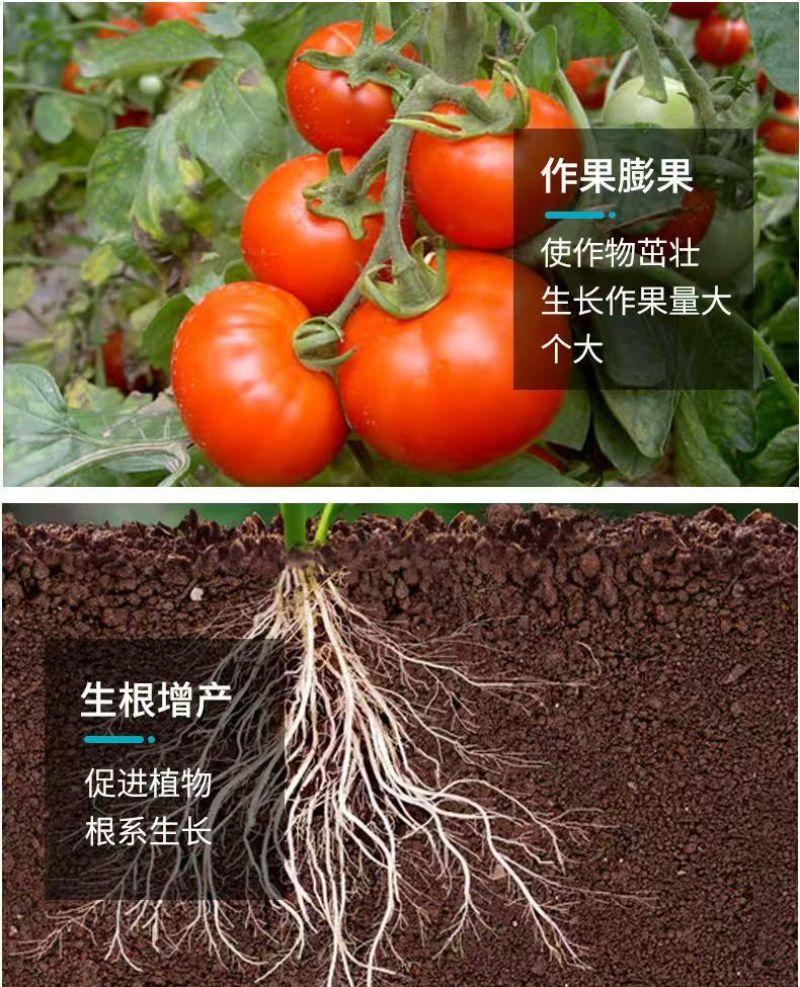 农盛百亿菌快速生根提苗壮苗预防根腐让土壤更有力