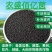 农盛百亿菌快速生根提苗壮苗预防根腐让土壤更有力