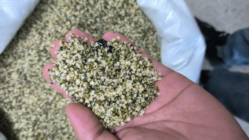 火麻仁带壳去壳纯白规格齐全量大从优欢迎咨询