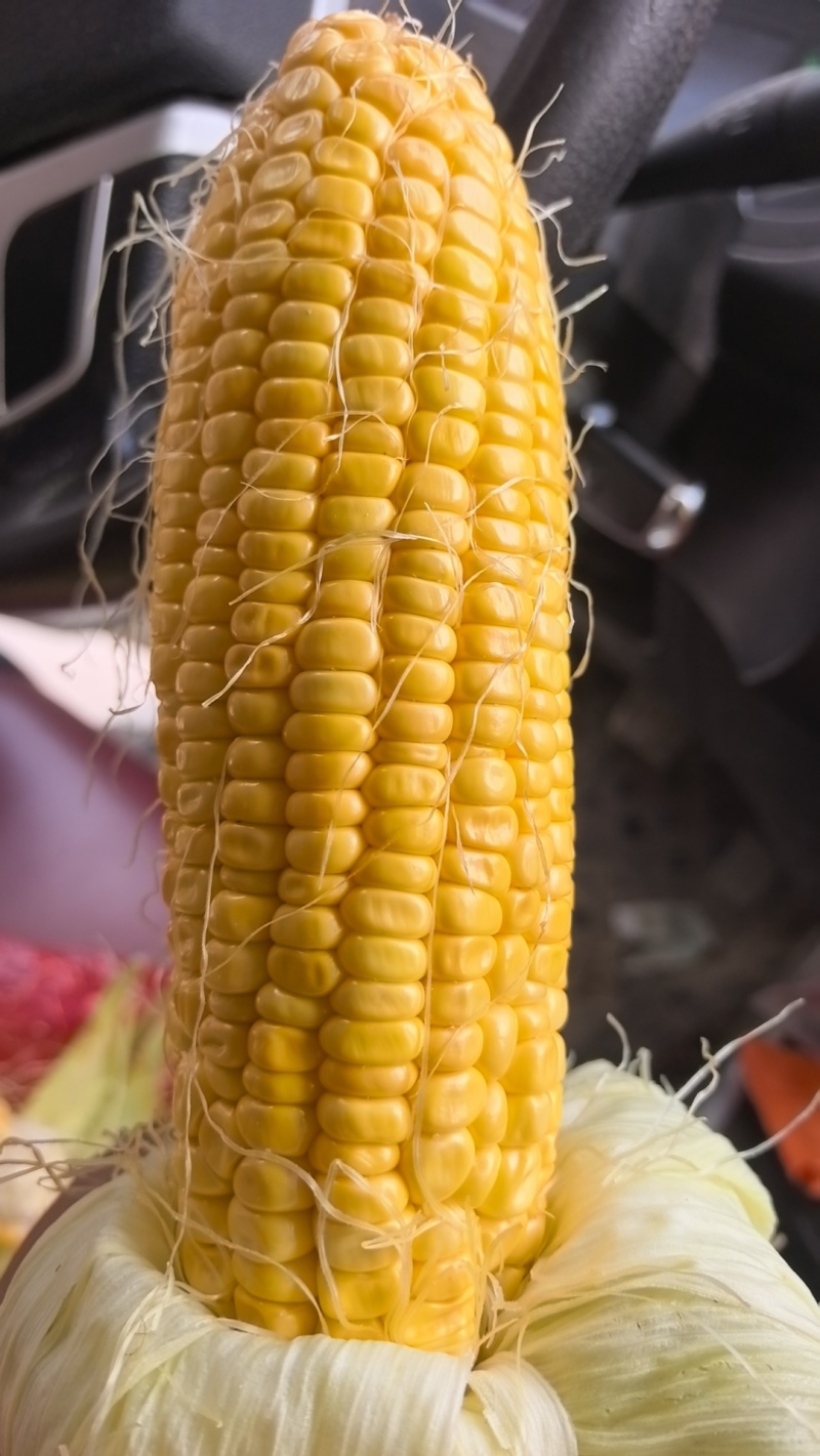 水果玉米