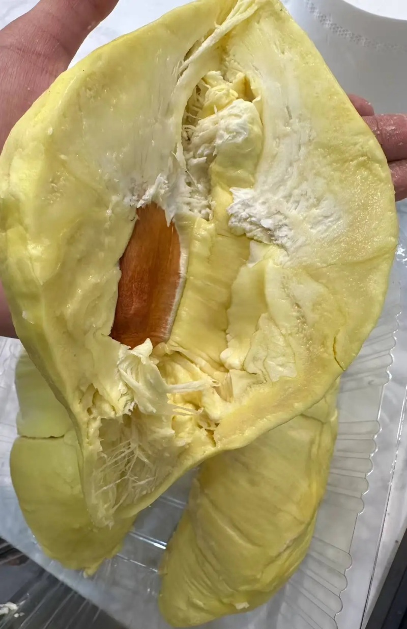 金枕榴莲批发价格