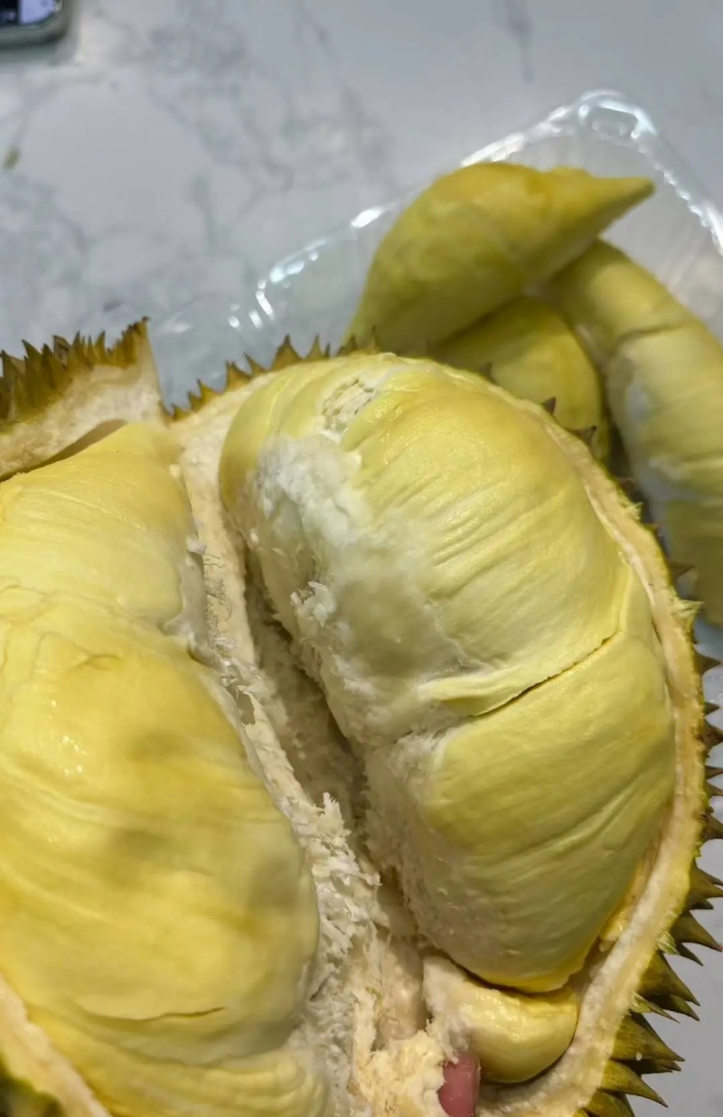 金枕榴莲批发价格