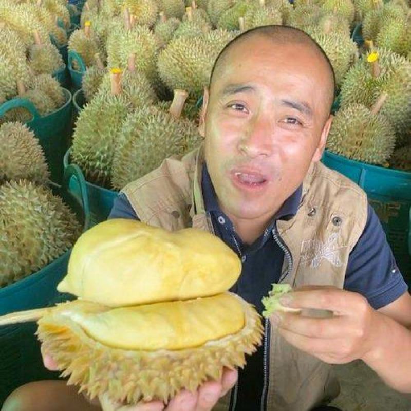 金枕榴莲批发价格
