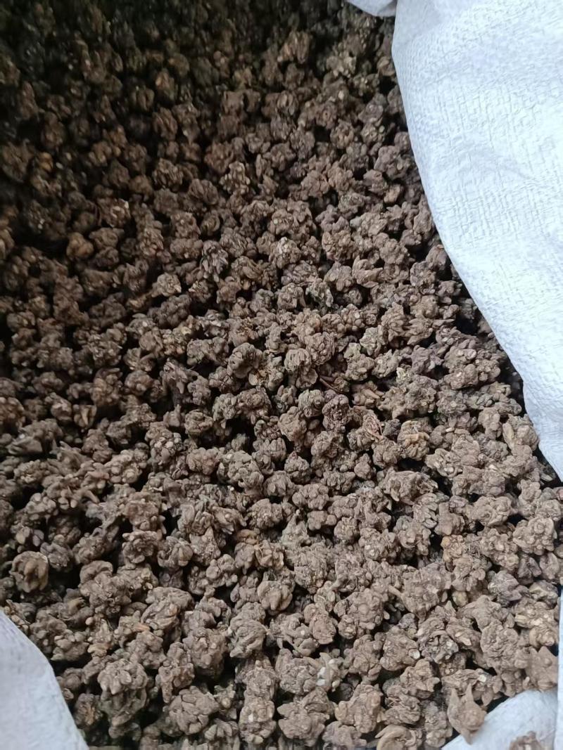 《猫爪草》水洗两边猫爪草实物拍摄货干无杂质批发价格