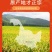 东北珍珠米圆粒2025年新米农户自产自销