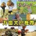 万亩种植大户推荐配方科学营养全面肥效持久