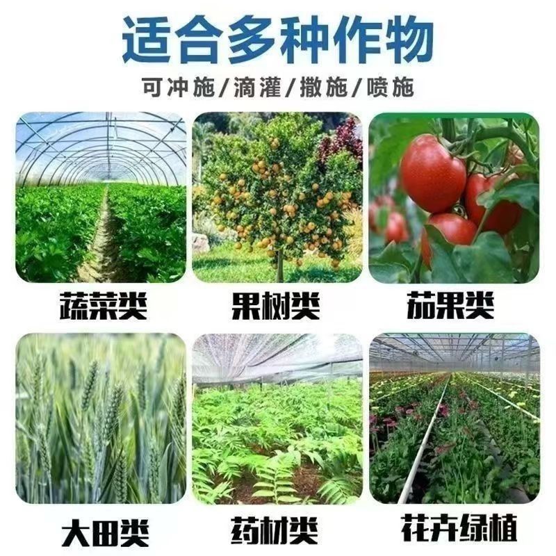 云南农盛二铵作物通用工厂价直供质量保障