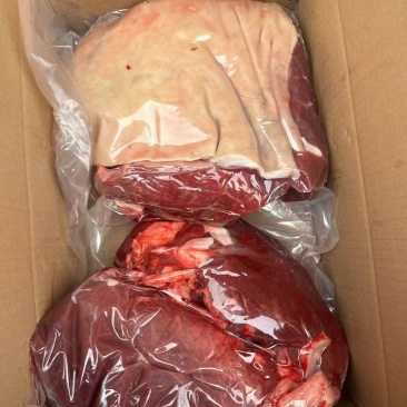 带皮马肉鲜冻现宰价格实惠口感鲜嫩欢迎新老客户来电咨询