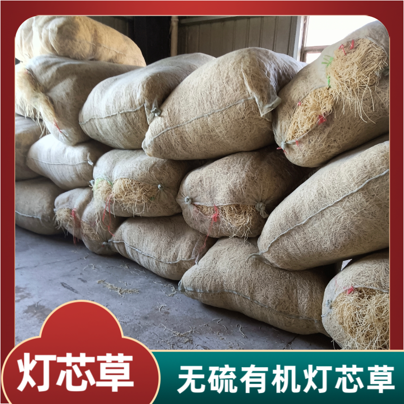 荣山灯芯草无硫晒干江西灯芯草常年供应