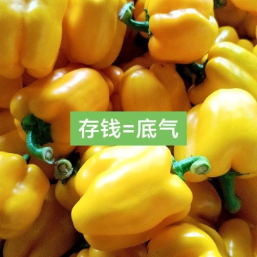 黄彩椒