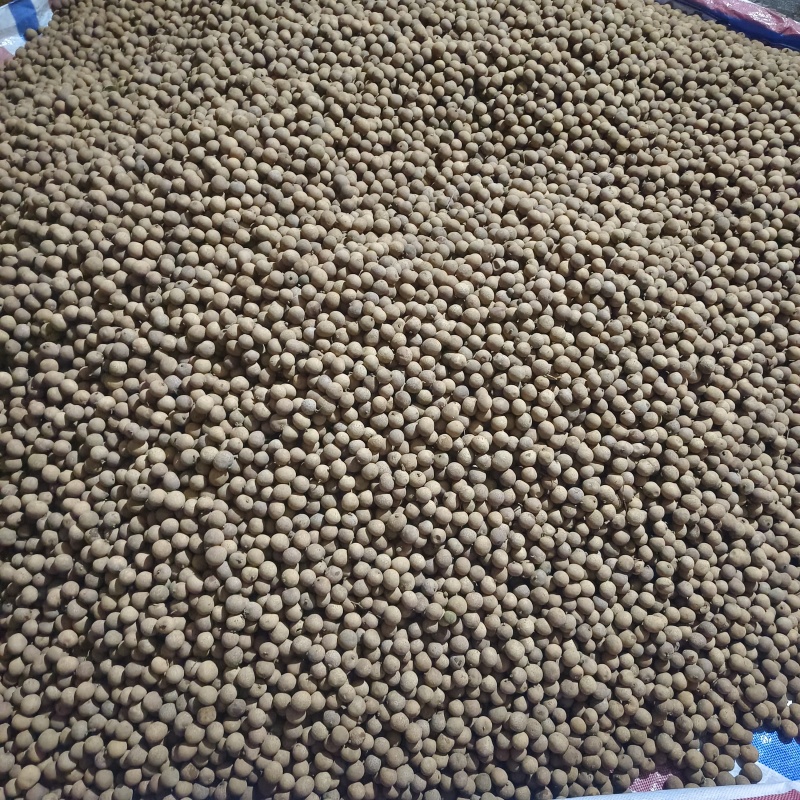 广西储良龙眼干，桂圆干粒大饱满壳薄肉厚，口感香醇欢迎选购