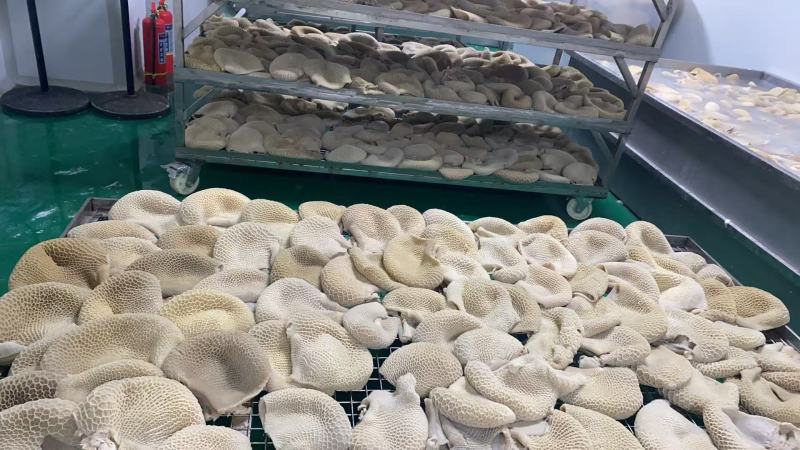 河南郑州猪副产品/熟食/五香牛肚/量大价优/欢迎咨询