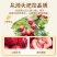 山楂条六物山楂条纯天原味，电商专用，一手货源大量批发