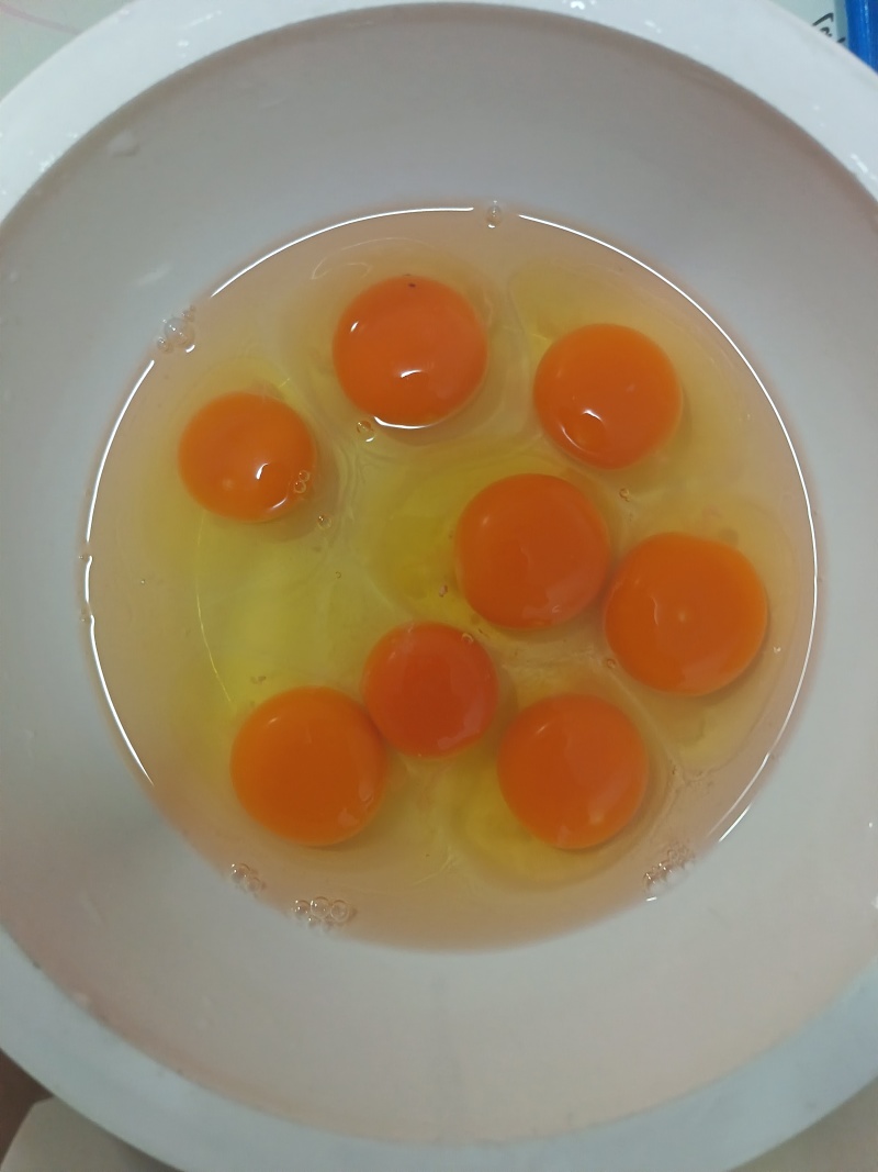 笨鸡蛋