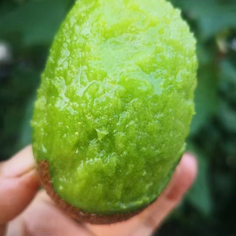 翠香猕猴桃