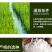2025年新米长粒香农户自产自销量大从优可对接电商与团购