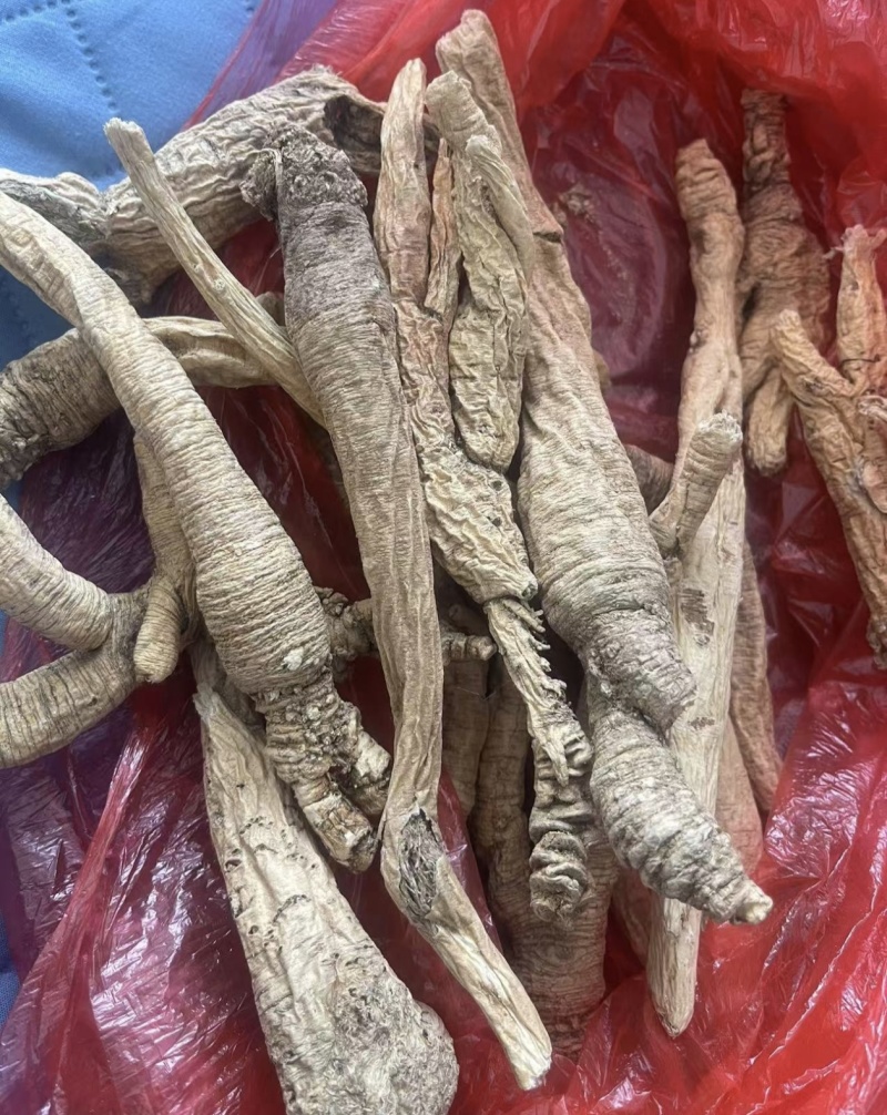 南沙参东北泡参南沙参切片批发零售量大从优