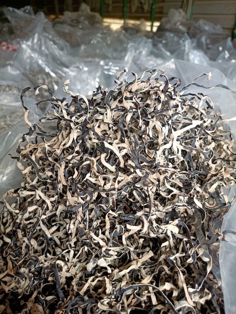 木耳丝足干电商精品木耳丝批发零售木耳丝价格不高白背木耳丝