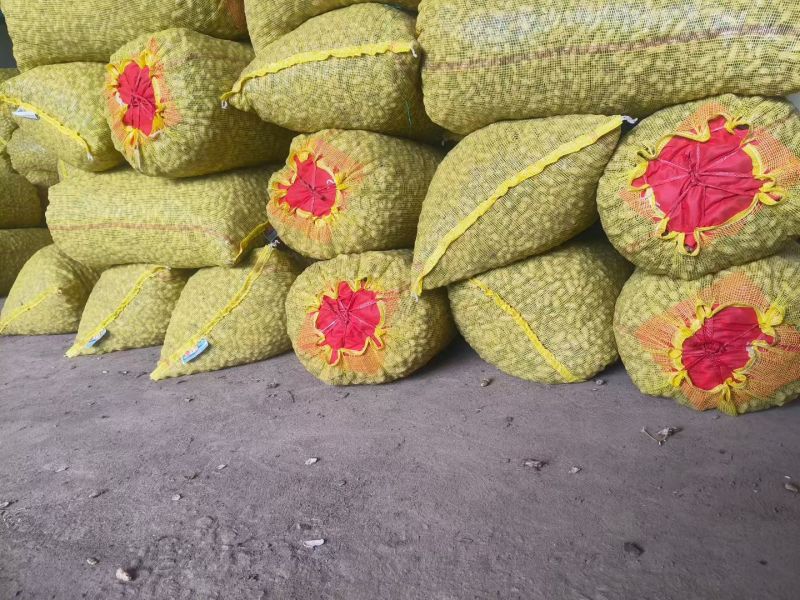 鲜花生