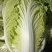 大白菜