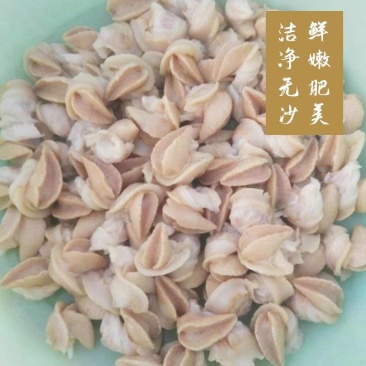 精品白玉蜗牛肉，货源充足，诚信经营，欢迎广大客户咨询。