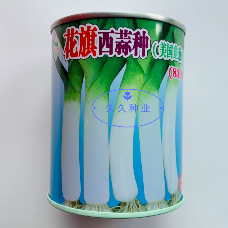 花旗西蒜美国韭葱种子中早熟植株直立蒜肉粗长紧实味浓春