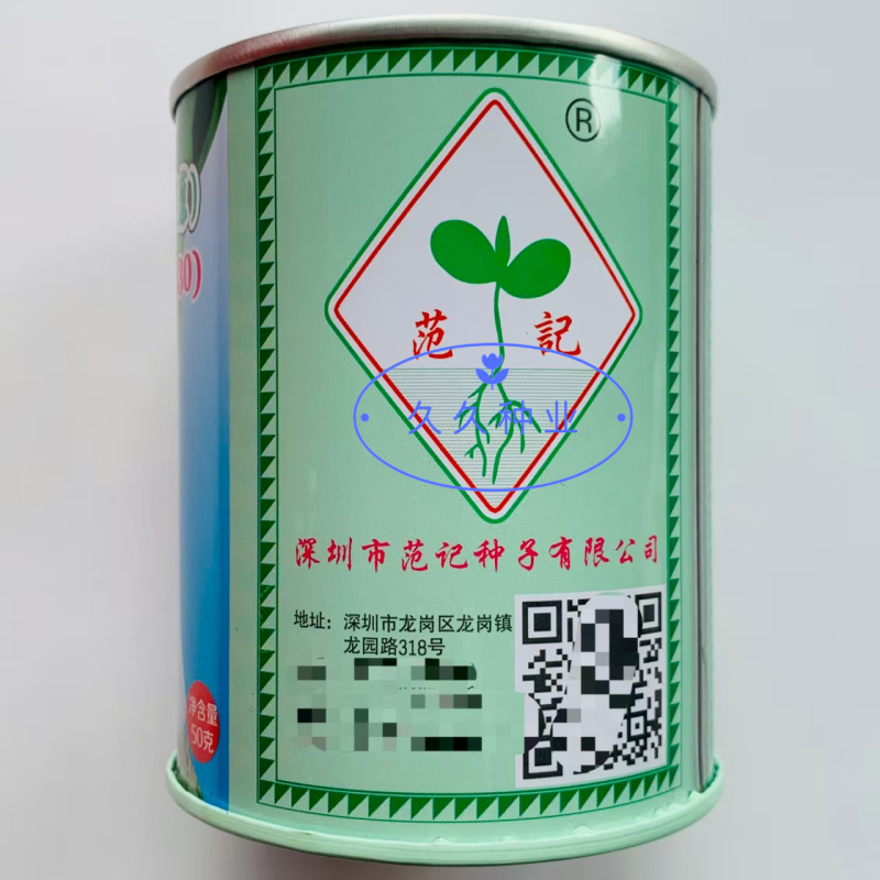 花旗西蒜美国韭葱种子中早熟植株直立蒜肉粗长紧实味浓春