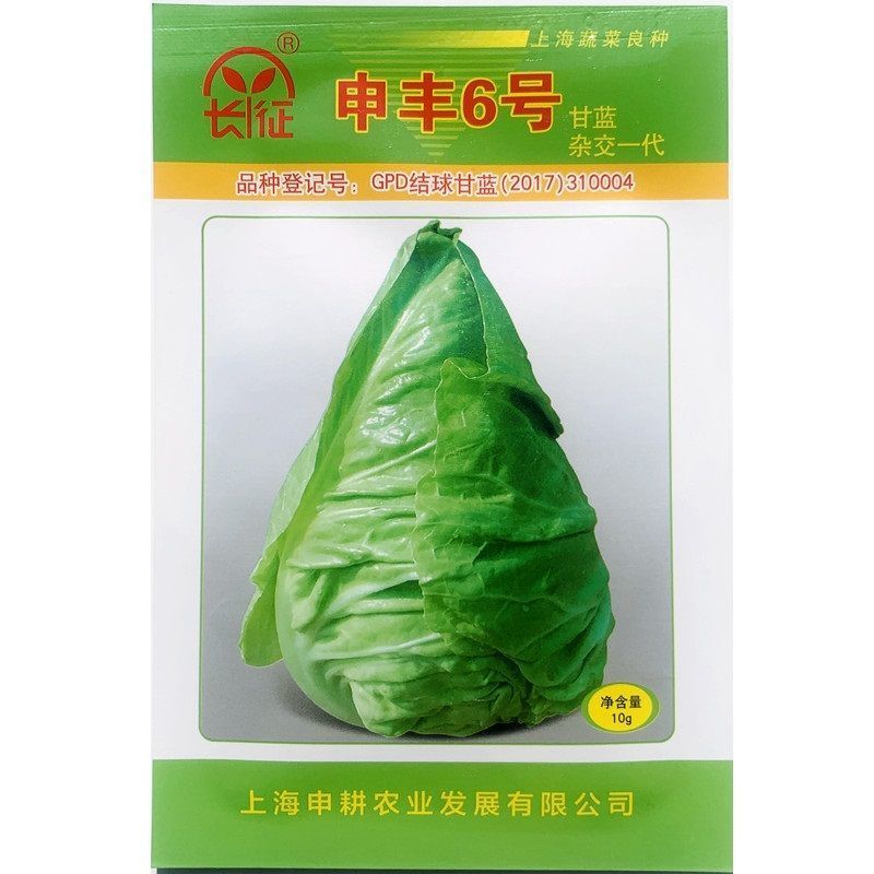 一代杂交尖球甘蓝新品种球色亮绿心叶嫩黄炒食口感脆甜