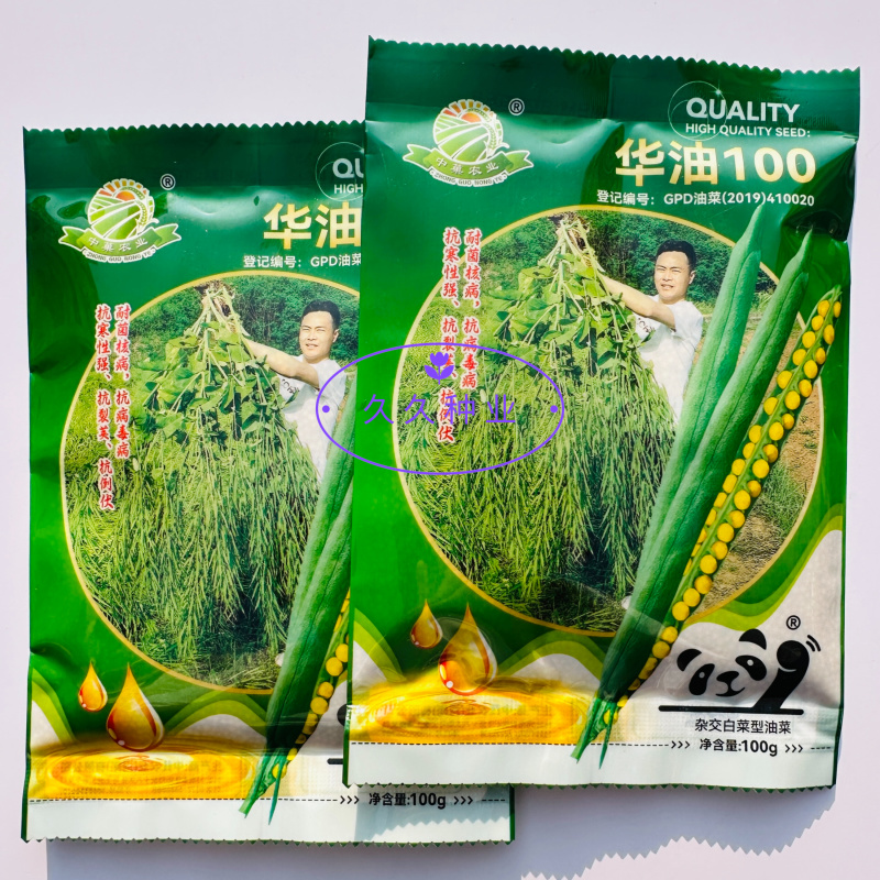 华油100白菜型油菜种子抗病抗寒抗倒伏杂交油菜籽种籽