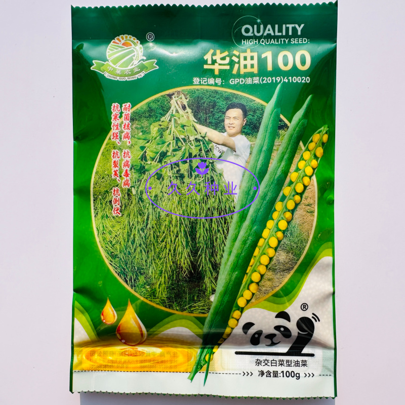 华油100白菜型油菜种子抗病抗寒抗倒伏杂交油菜籽种籽