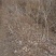 鄢陵紫藤种植基地，河南紫藤树基地