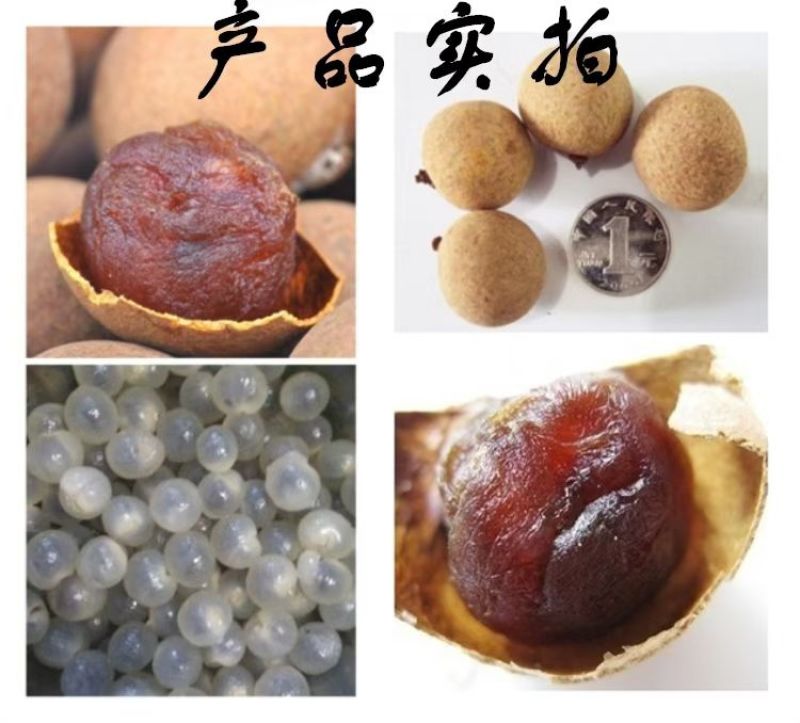 桂圆干-甜度高，肉厚，皮薄，低价出售
