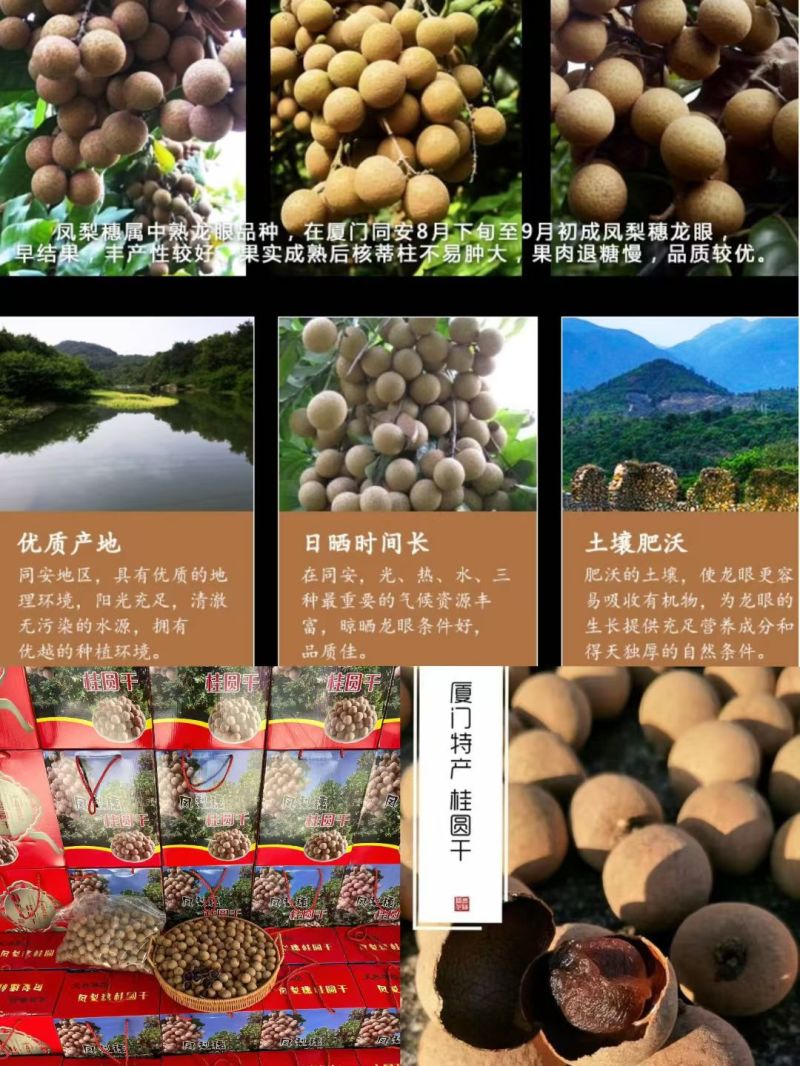 桂圆干-甜度高，肉厚，皮薄，低价出售